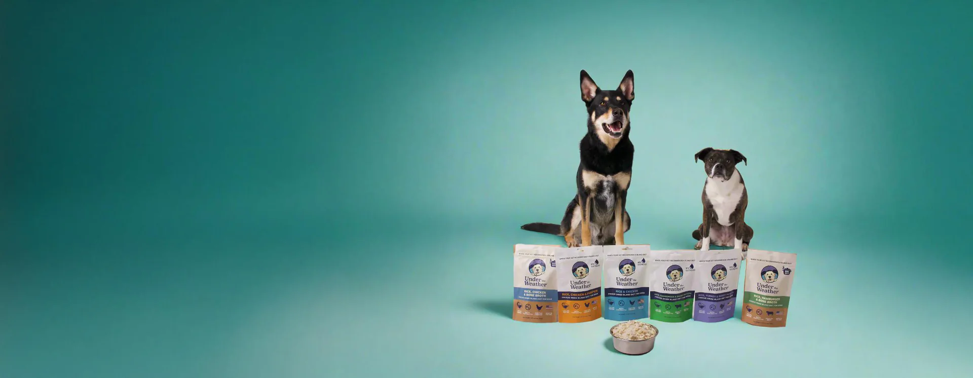 Elevate Your Pet's Wellness Journey